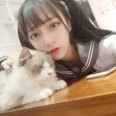 九龙神座最新版下载
